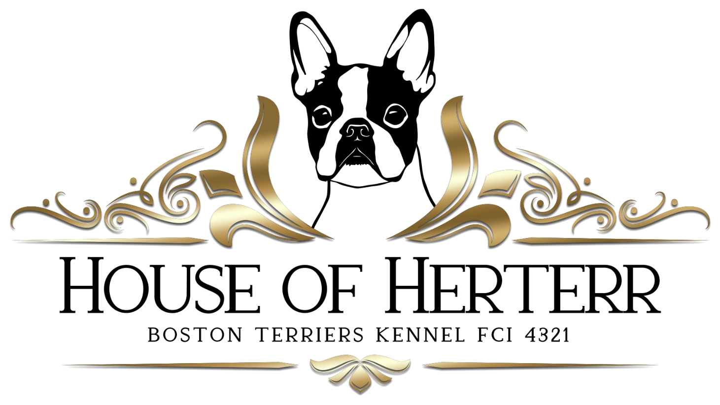 House Of Herterr Boston Terriers Kennel